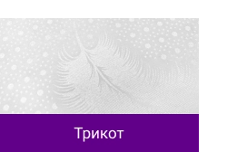 Трикот.png Трикот.png